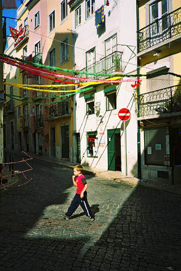 autor: José Gonçalves