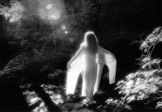 autor: paulo rodrigues
t&iacute;tulo: Etherial Moment