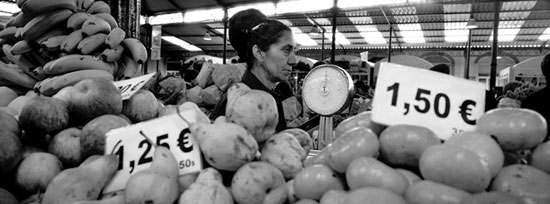 auteur : Luísa Ferreira                    
